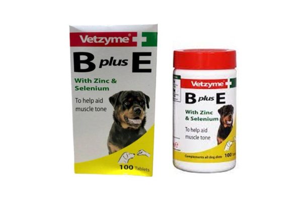 VETZYME B PLUS E - 100 TABLETS